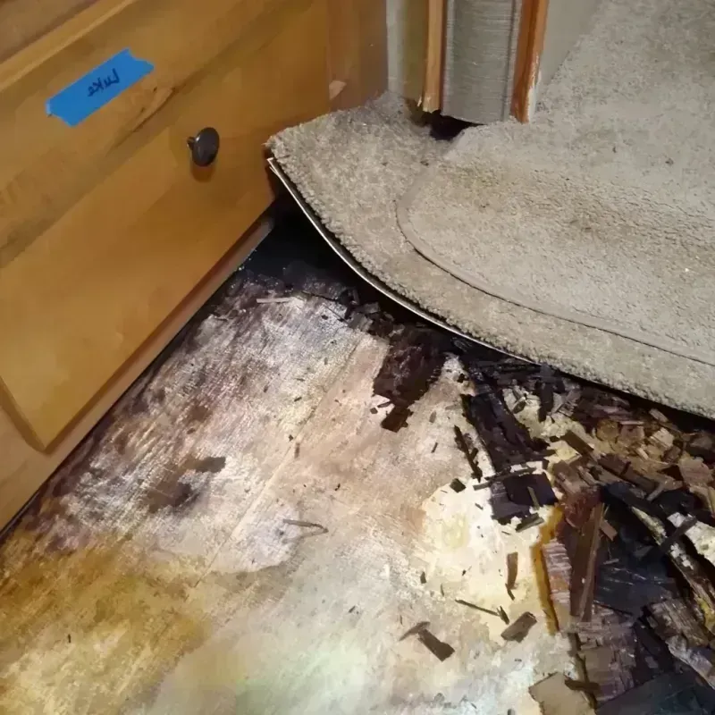 Best Wood Floor Water Damage Service in Hebron, IL